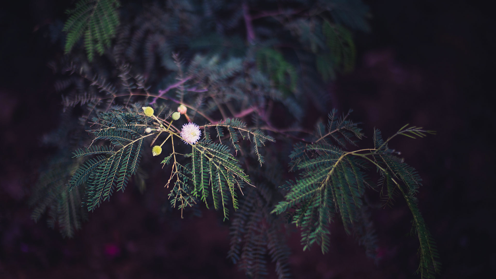 v2?sig=ae9a13cc248958206aada200c735fd316949ffe7cd68097f31da22789a78211a