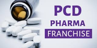 Discover the Benefits of Affordable Pharma Franchises with Top-Quality Products