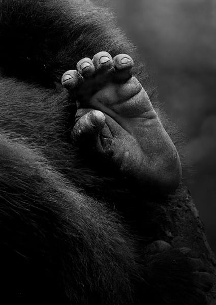 Ticklish foot by Julia Wimmerlin on 500px.com