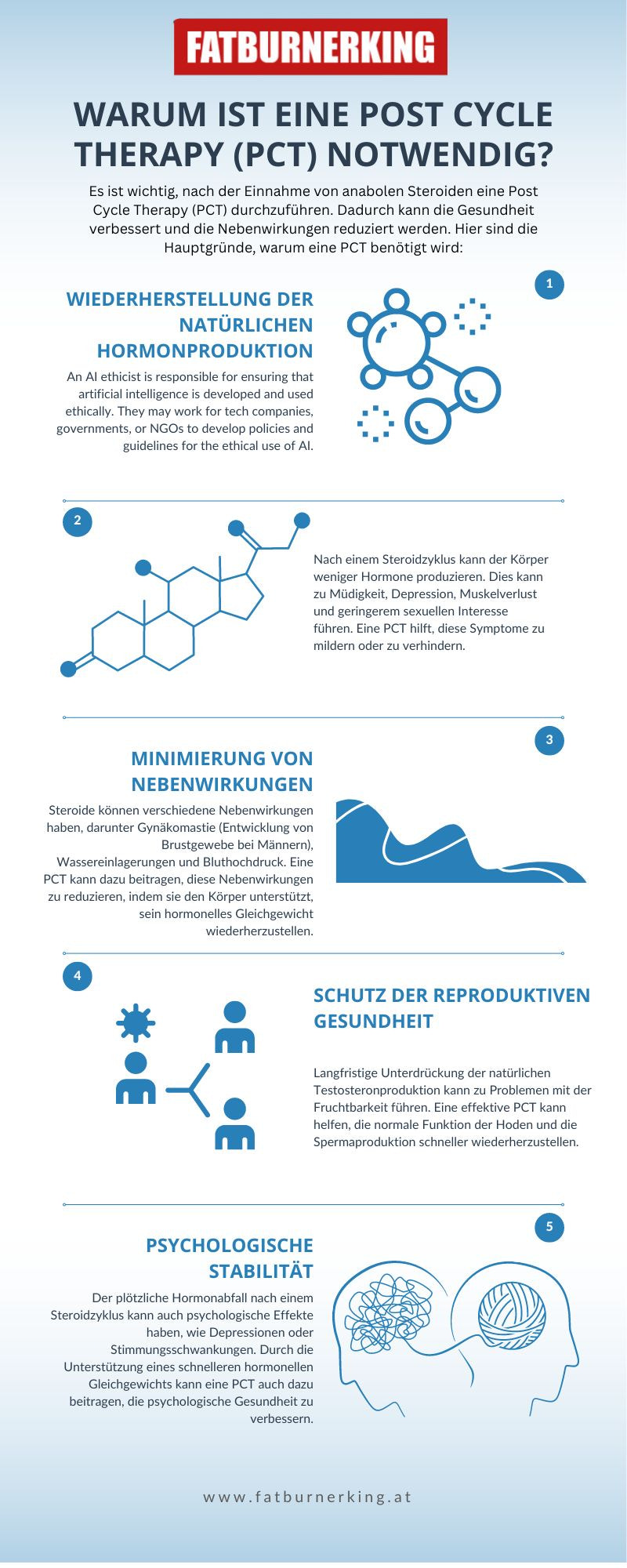 Warum Ist Eine Post Cycle Therapy (PCT) Notwendig?