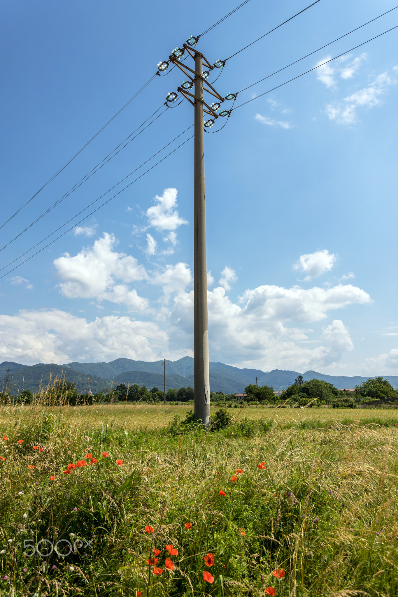 Electric pole