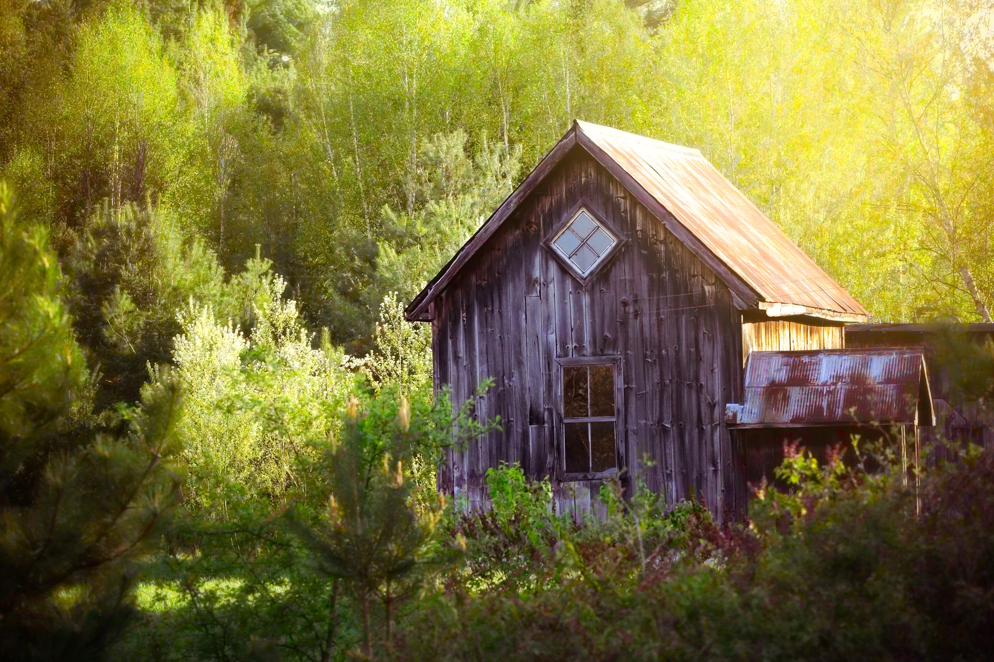 v2?sig=7325b1e1b95d0de4e9e468f038f27b3a3bd05ee7e6a4bea9f7f5aaa12280a499