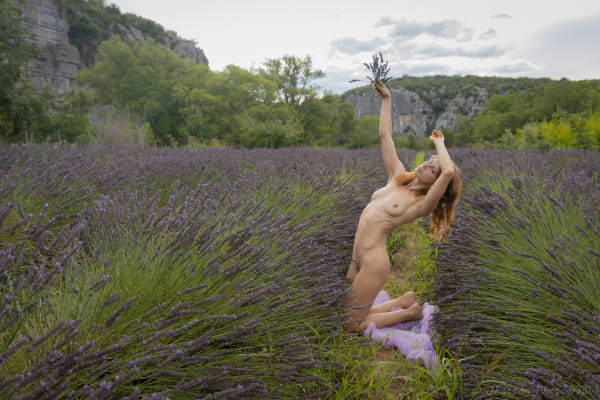 Lavendar Fields by John Patton on 500px.com