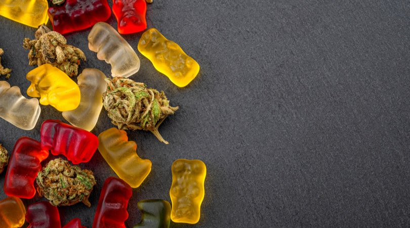 CBD Edibles: Your Go-To Cannabis Edibles from Togo Weed