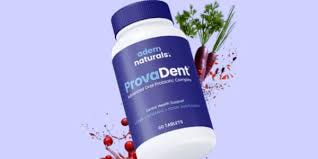 The Future of Oral Health: Discover Provadent