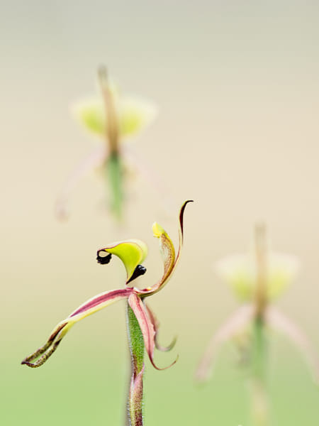 20240906-Toolibin_Lake-0249-2-Edit by Paul Amyes on 500px.com