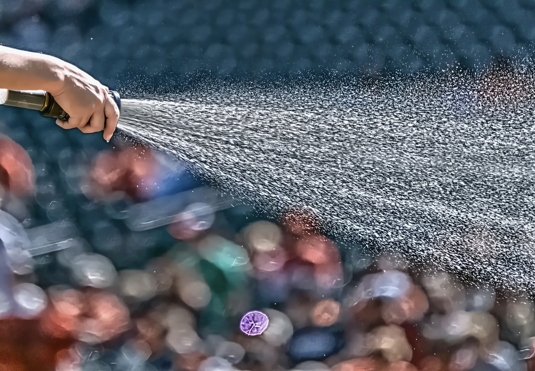 Cropped hand of person spraying water on car