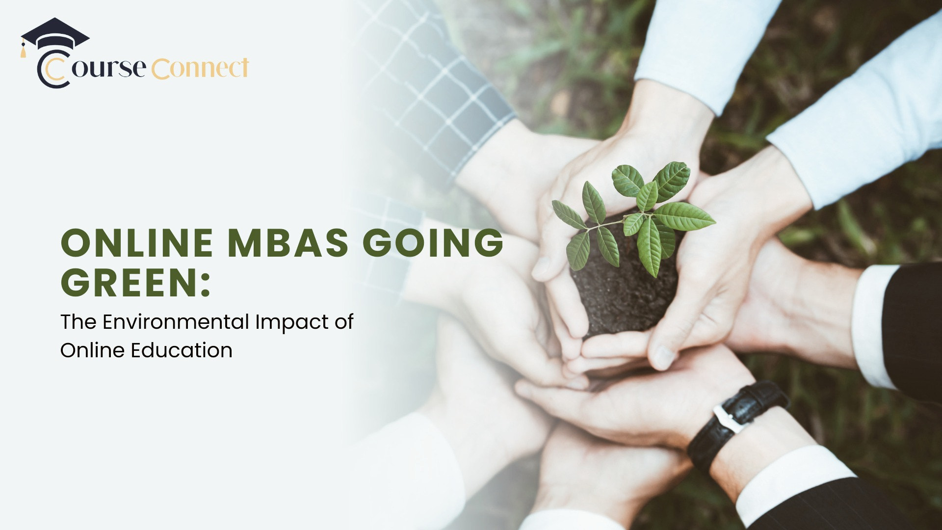 Online MBA