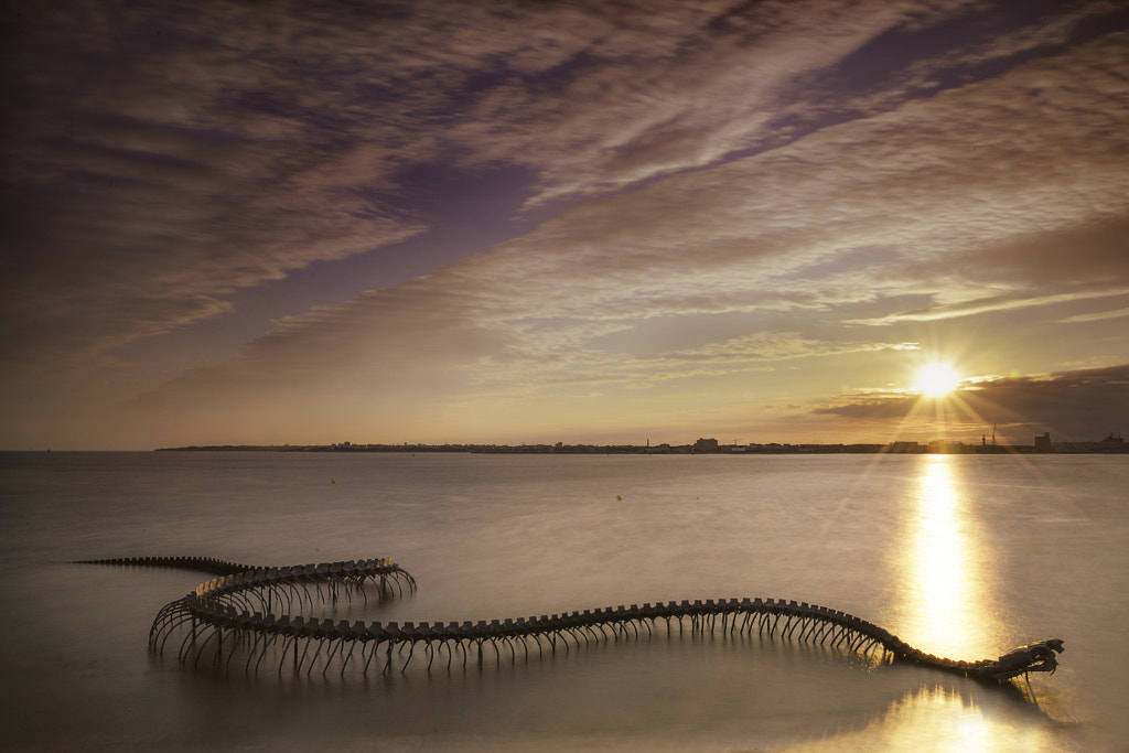 Giant Serpent By Huang Yong Ping Emerges From The Loire Estuary