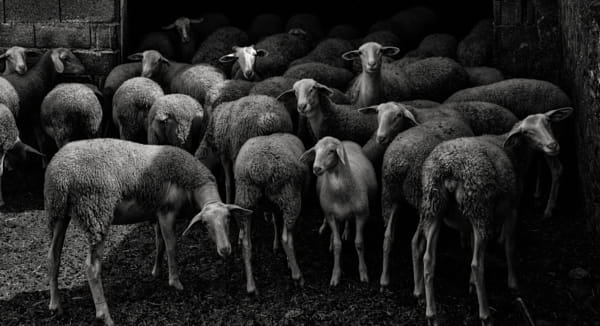 group portrait II by BYRON IN RENDI on 500px.com