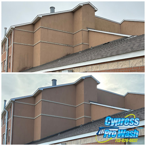 Roof Cleaning near me