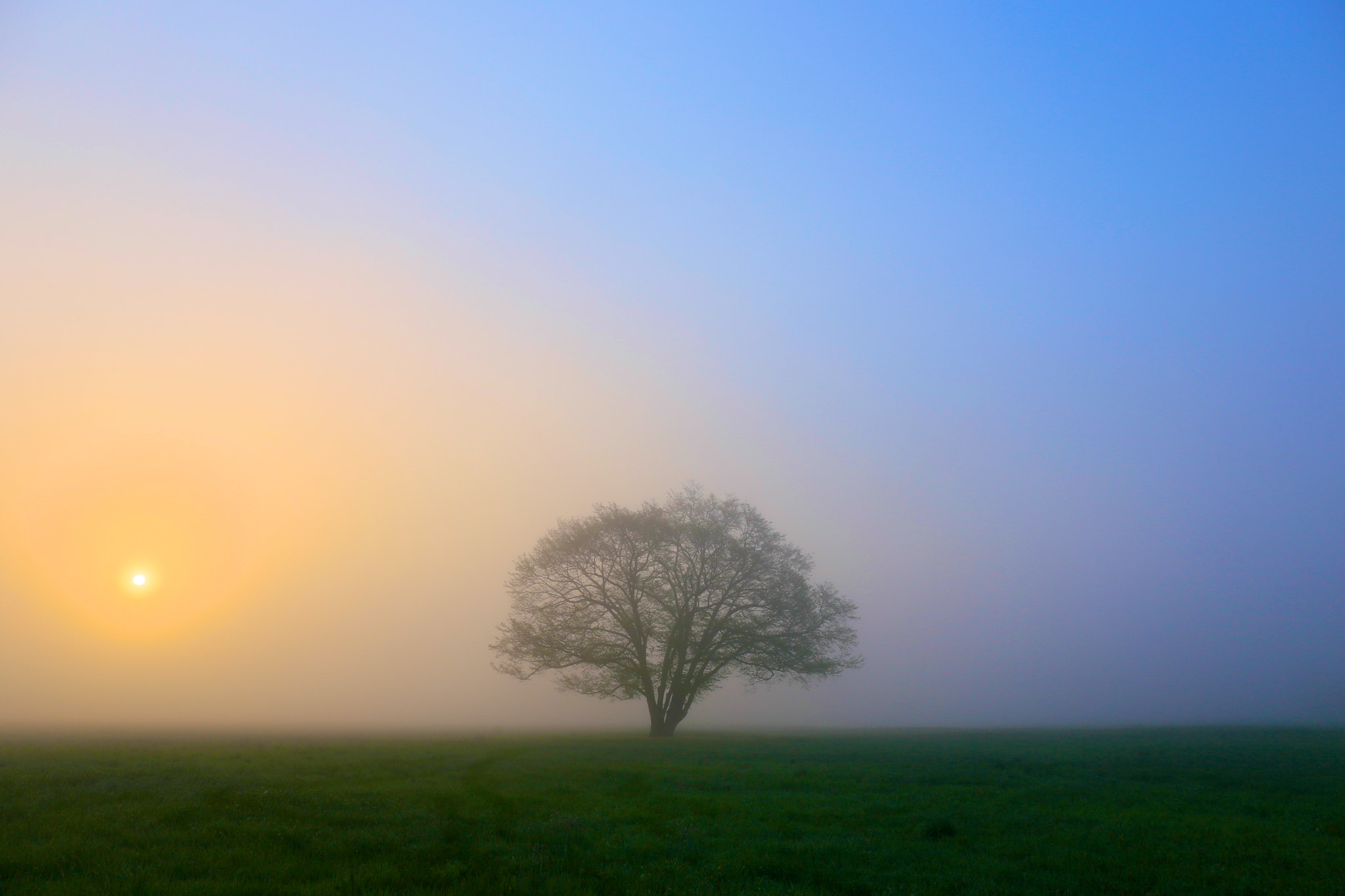 v2?sig=07d50821fd436feaea83b876bf09ee92db9b2ddf914438e2fa715ba3330c5ab1