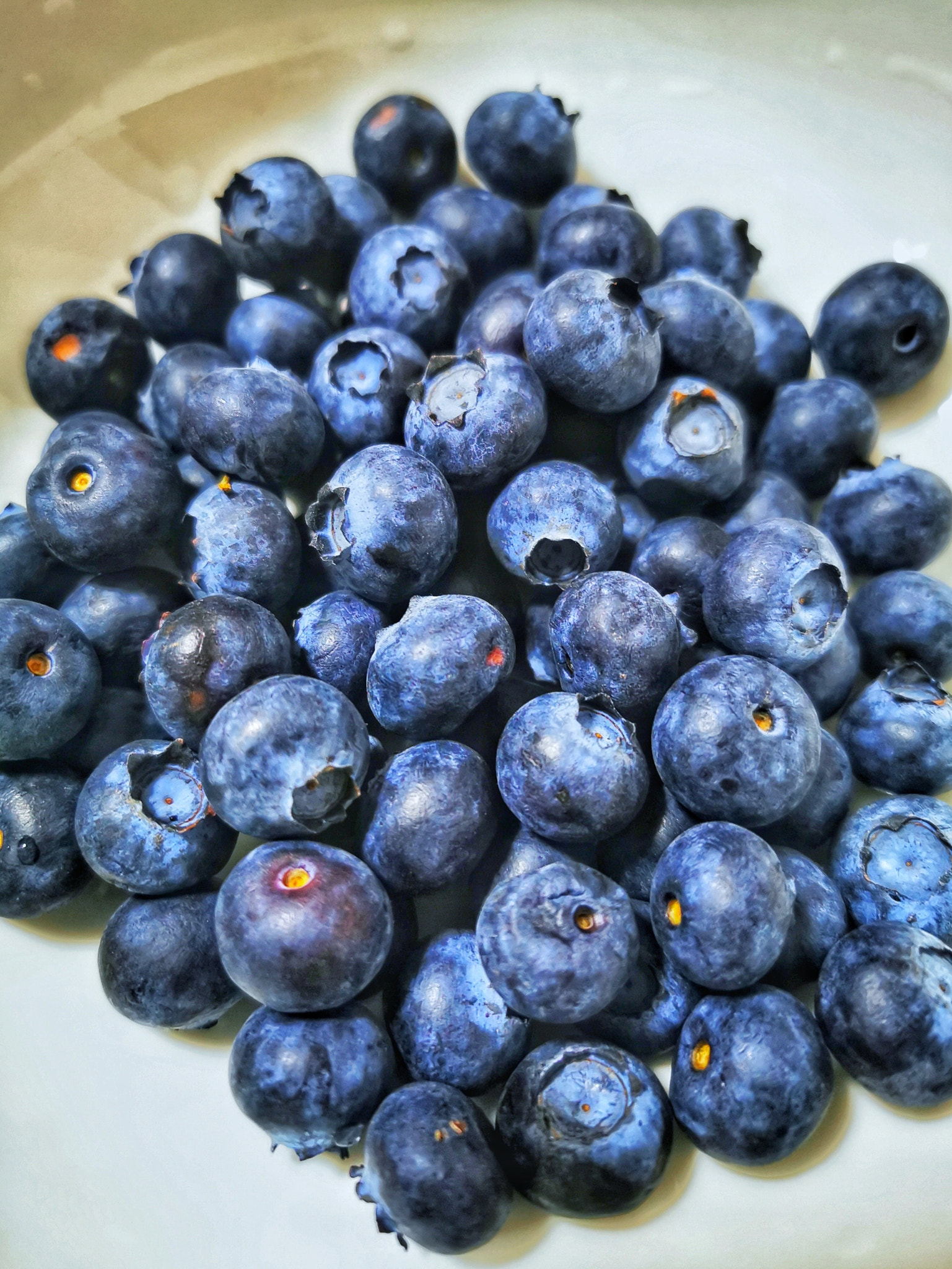 Close-up of blueberries in container 盘子里的蓝莓
