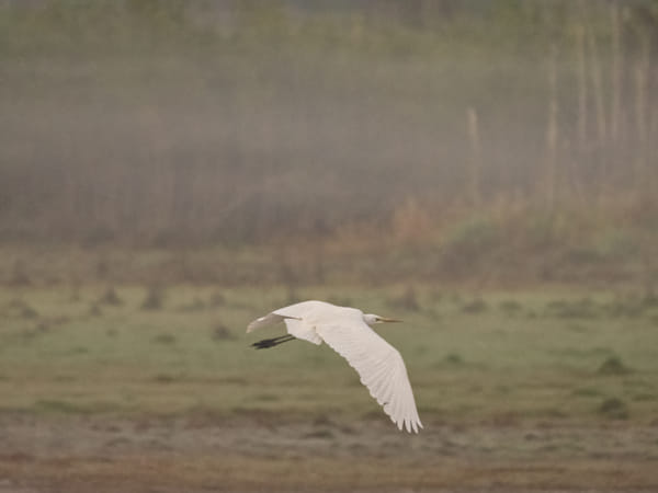 Knuckey Lagoons Conservation Reserve by Paul Amyes on 500px.com
