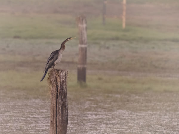 Knuckey Lagoons Conservation Reserve by Paul Amyes on 500px.com