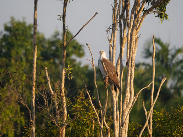 Knuckey Lagoons Conservation Reserve by Paul Amyes on 500px.com