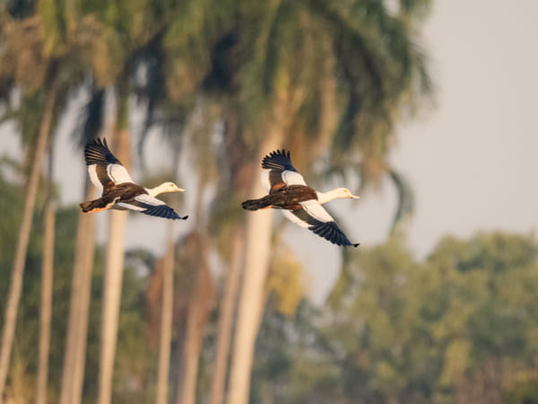 Knuckey Lagoons Conservation Reserve by Paul Amyes on 500px.com