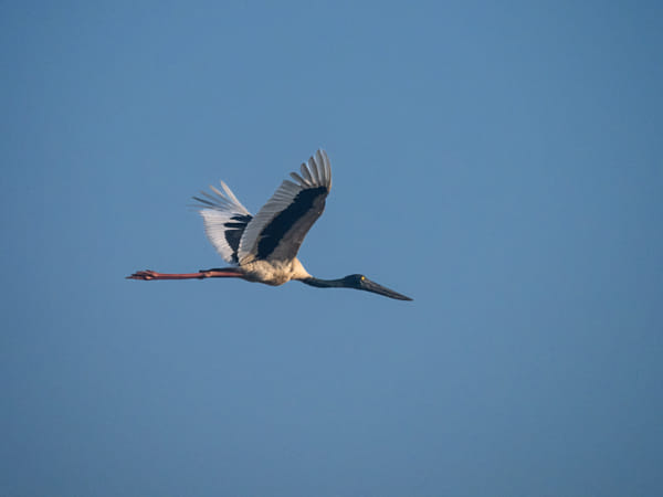 Knuckey Lagoons Conservation Reserve by Paul Amyes on 500px.com