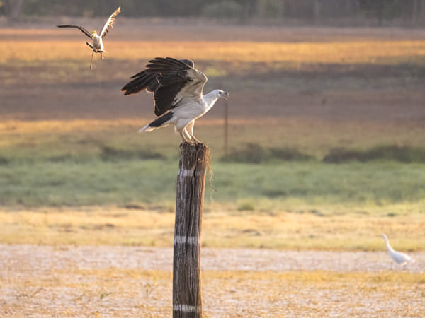 Knuckey Lagoons Conservation Reserve by Paul Amyes on 500px.com