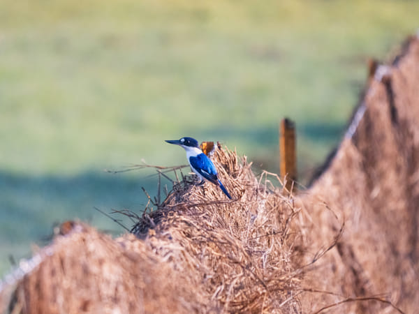 Knuckey Lagoons Conservation Reserve by Paul Amyes on 500px.com