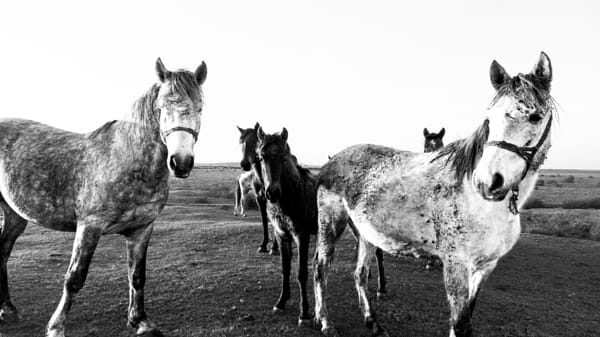 Family by Rmz on 500px.com