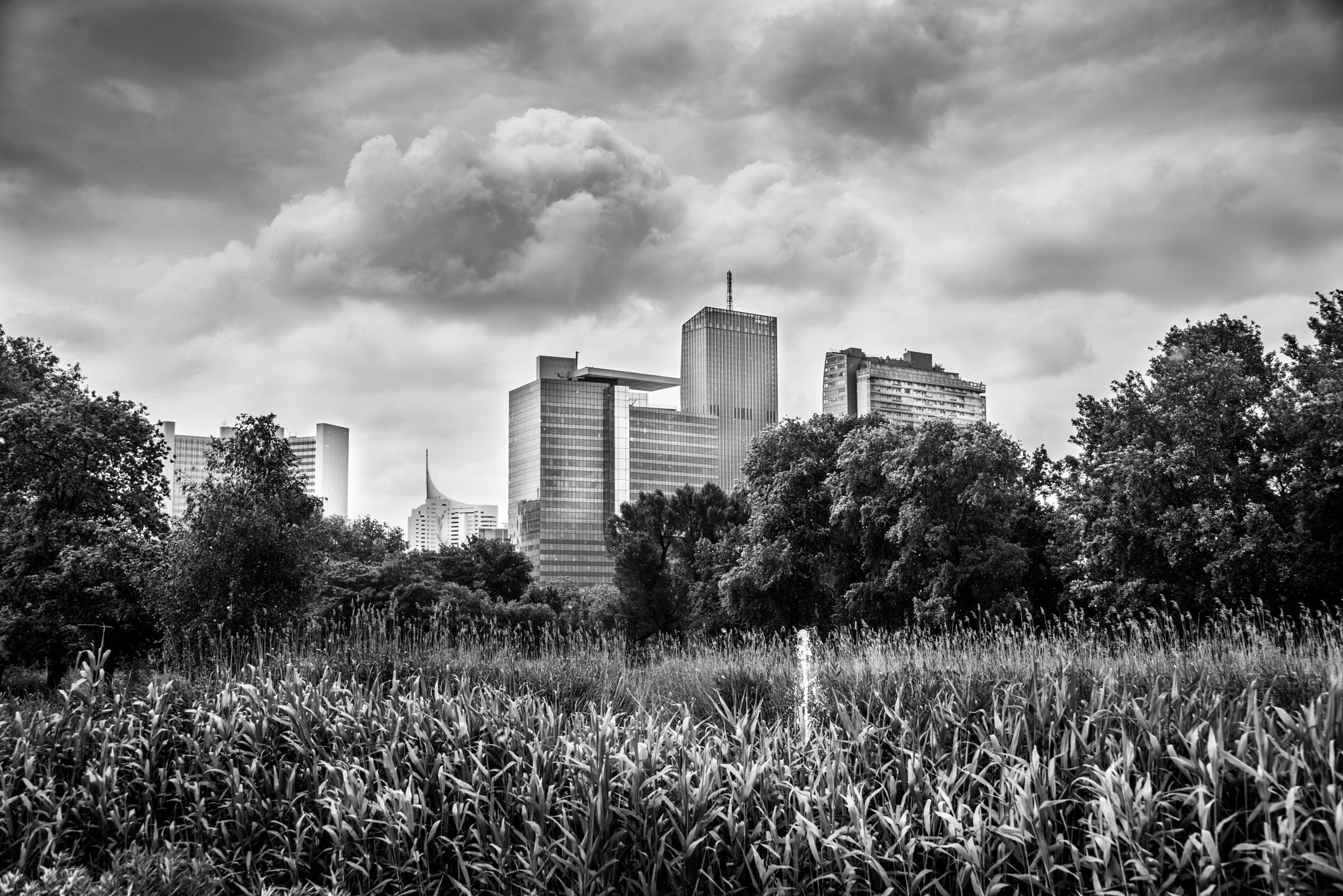vienna skyline