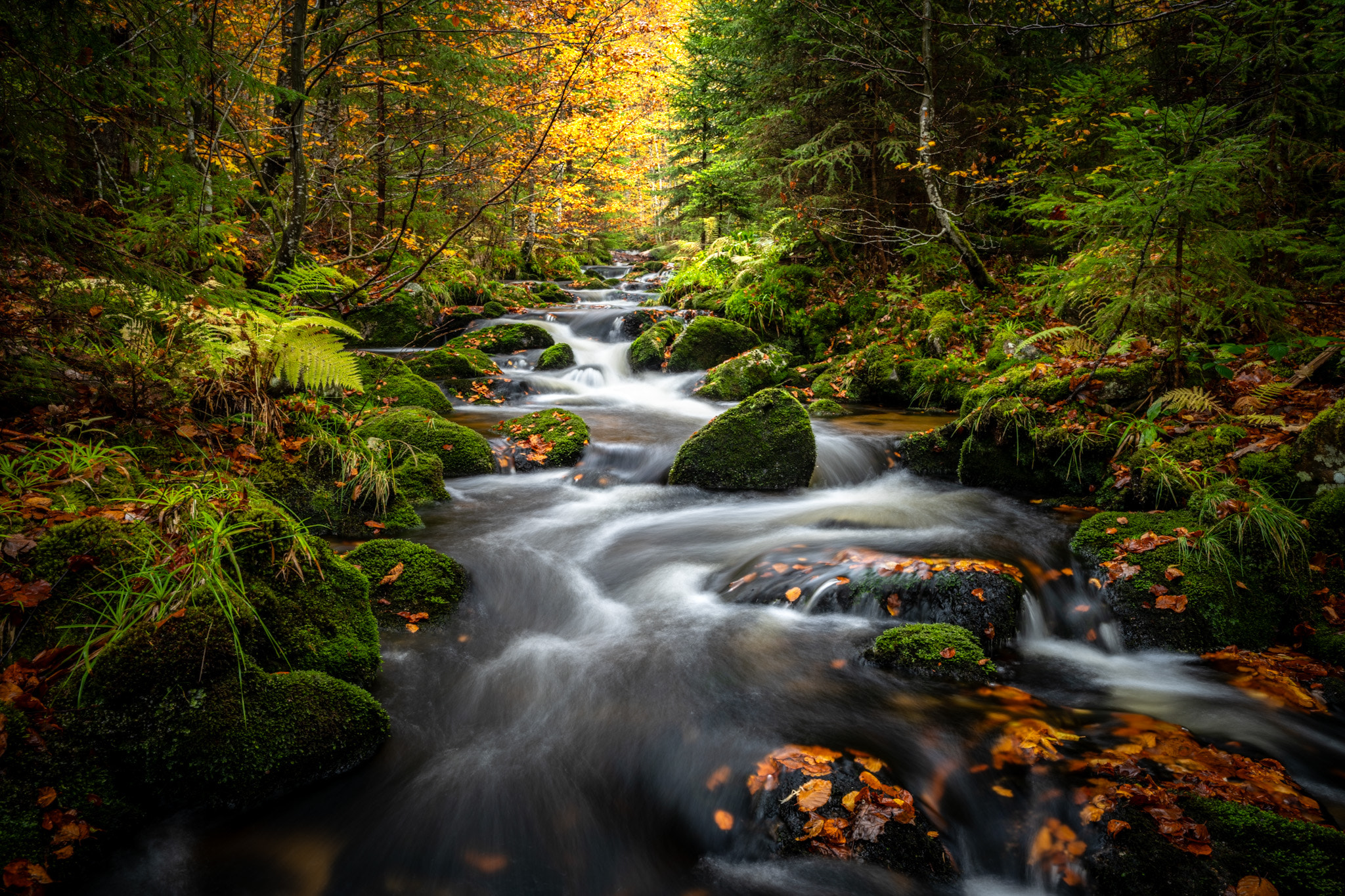 v2?sig=372fbd22254f78603d193b391db290f40