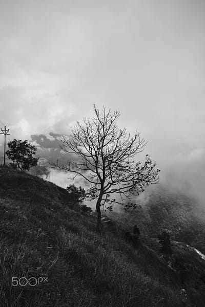 View point in Kalimpong by Sandeep Kelvadi / 500px | @500px