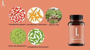 leanbiome