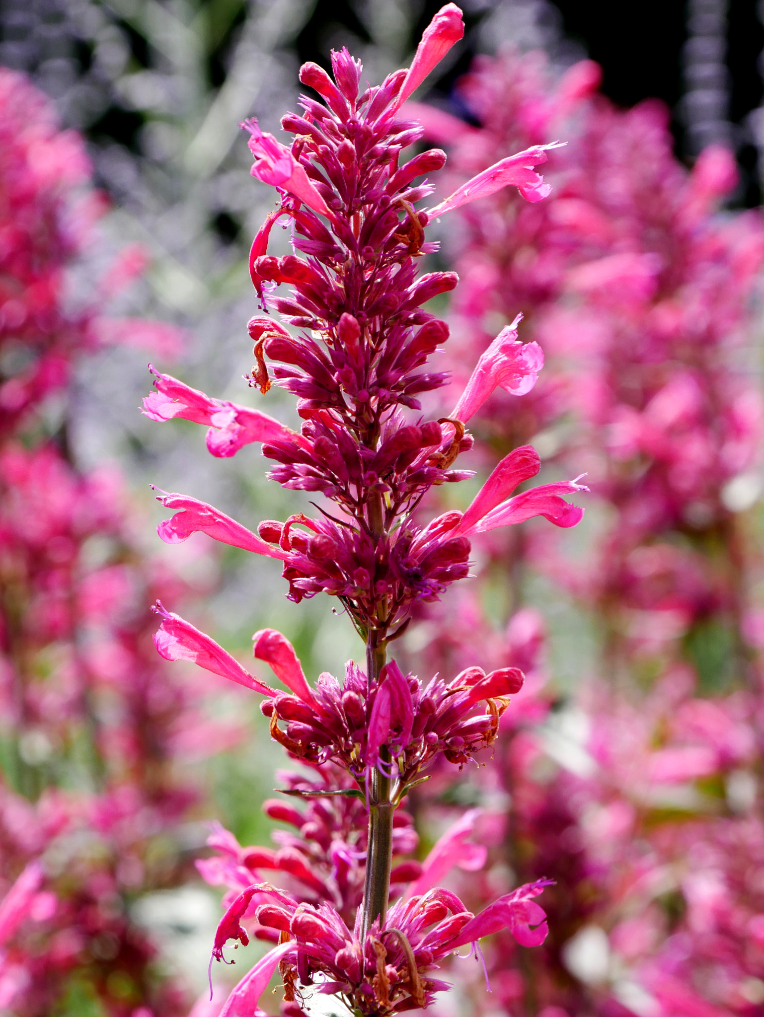 v2?sig=54589fc6444277dd03b305685a0dfc421e995df5a41dde98b3ec484cb7b72722