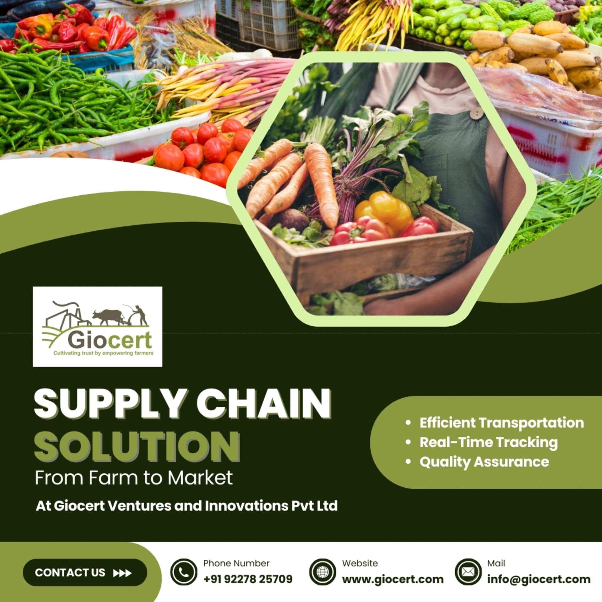 Supply Chain Solutions at Giocert Ventures and Innovations Pvt Ltd
