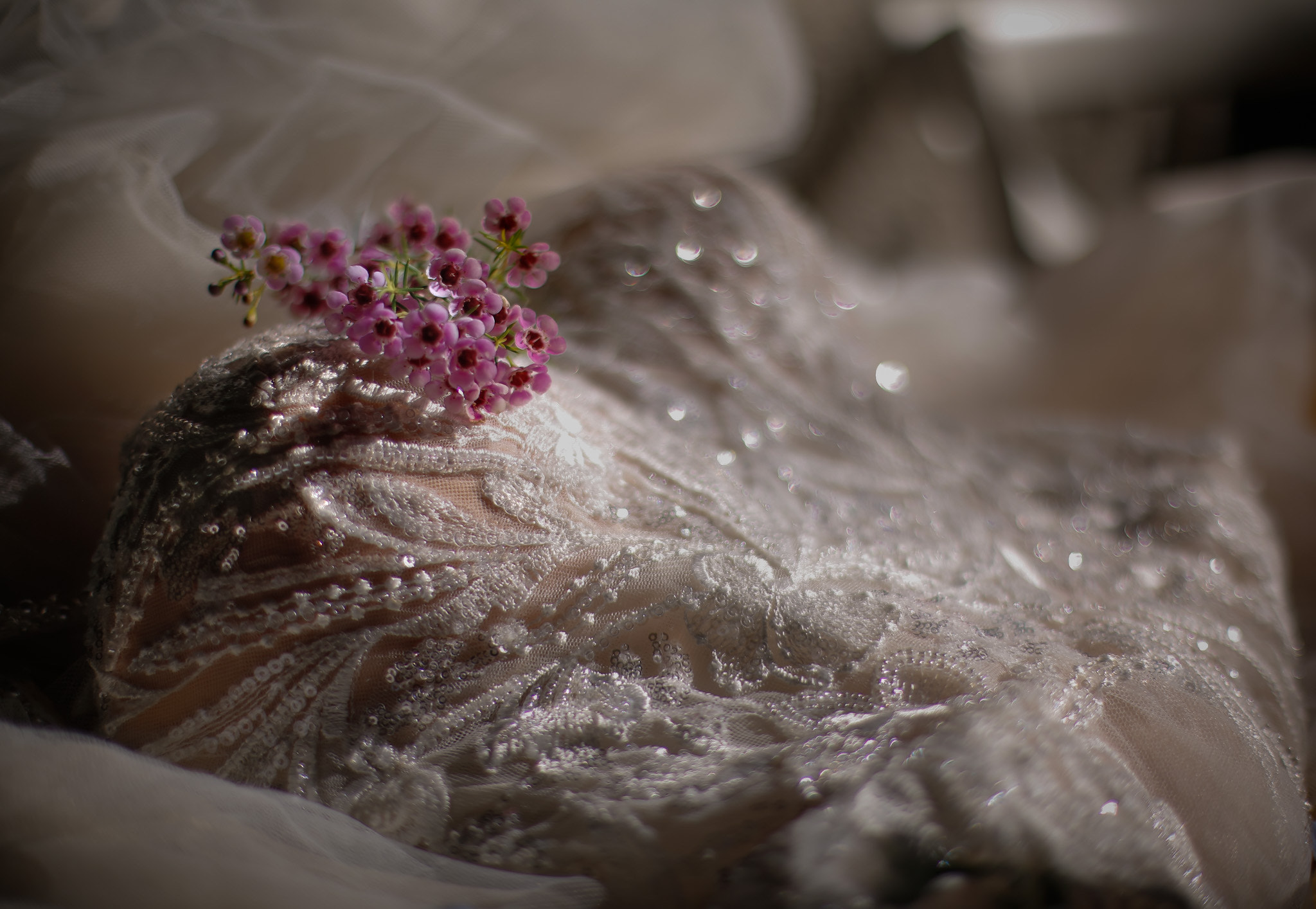 Beloved Bride