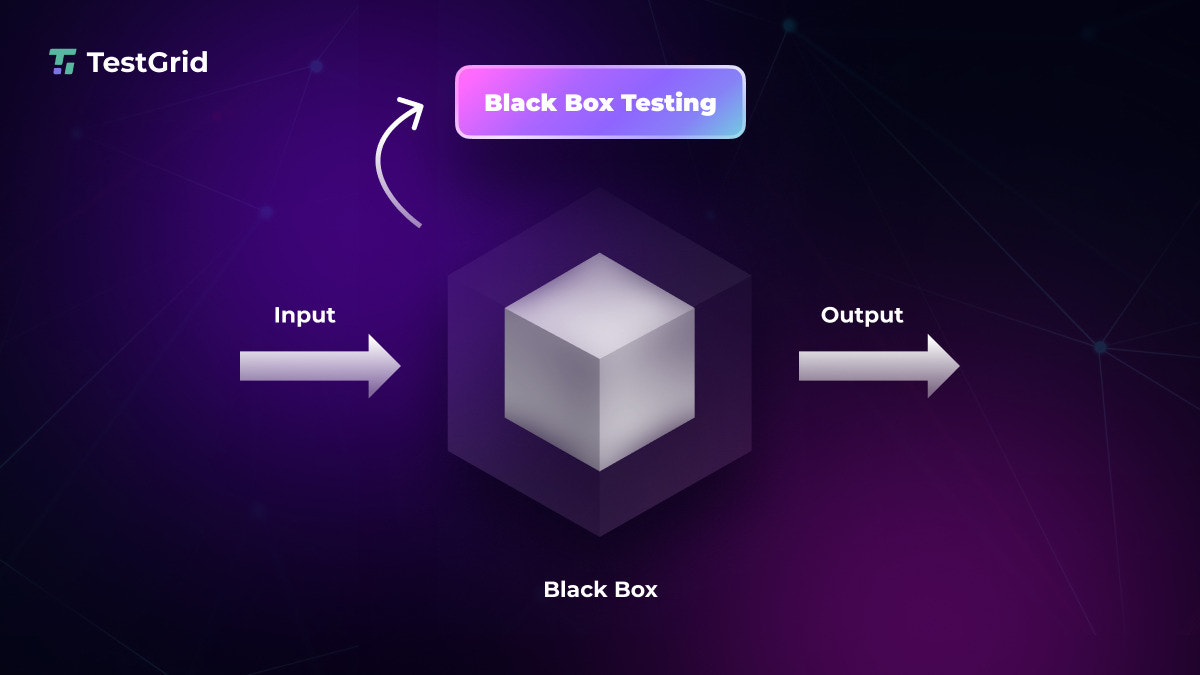 Black Box Testing: A Complete Overview