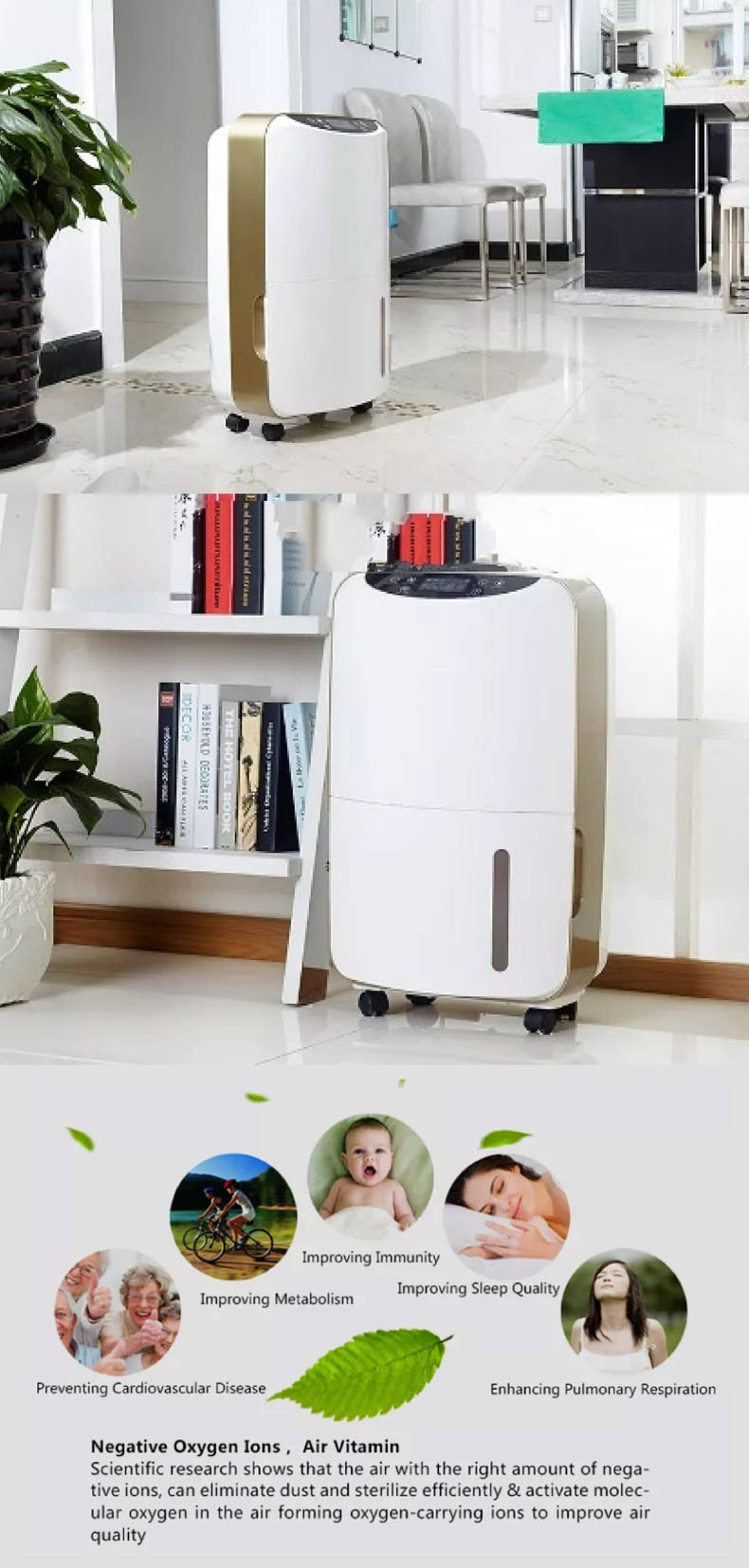 Portable Dehumidifiers for Every Space
