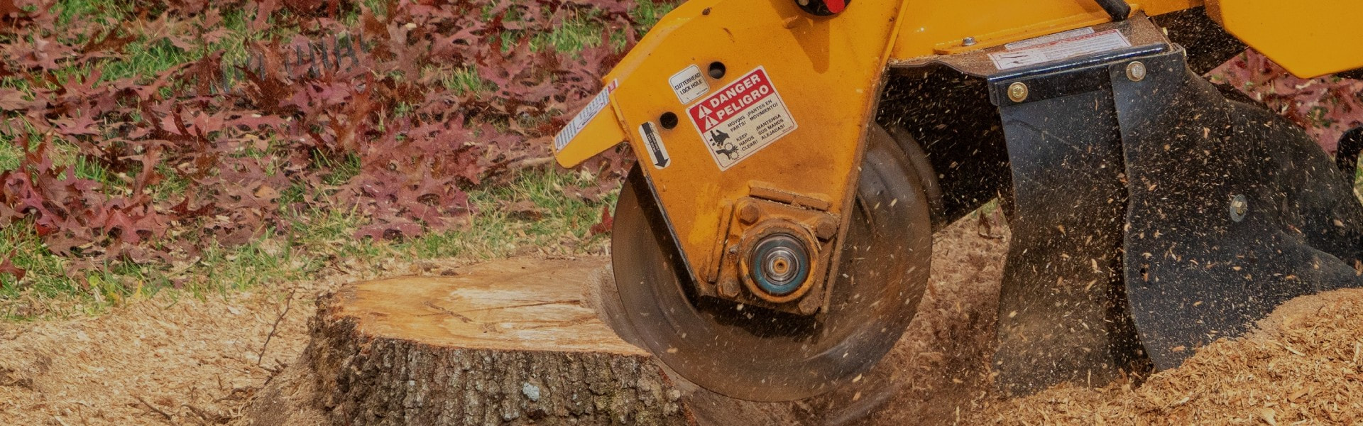 Stump Grinding North Shore: For more information visit https://triplettreeservices.com.au/stump-grinding-north-shore/