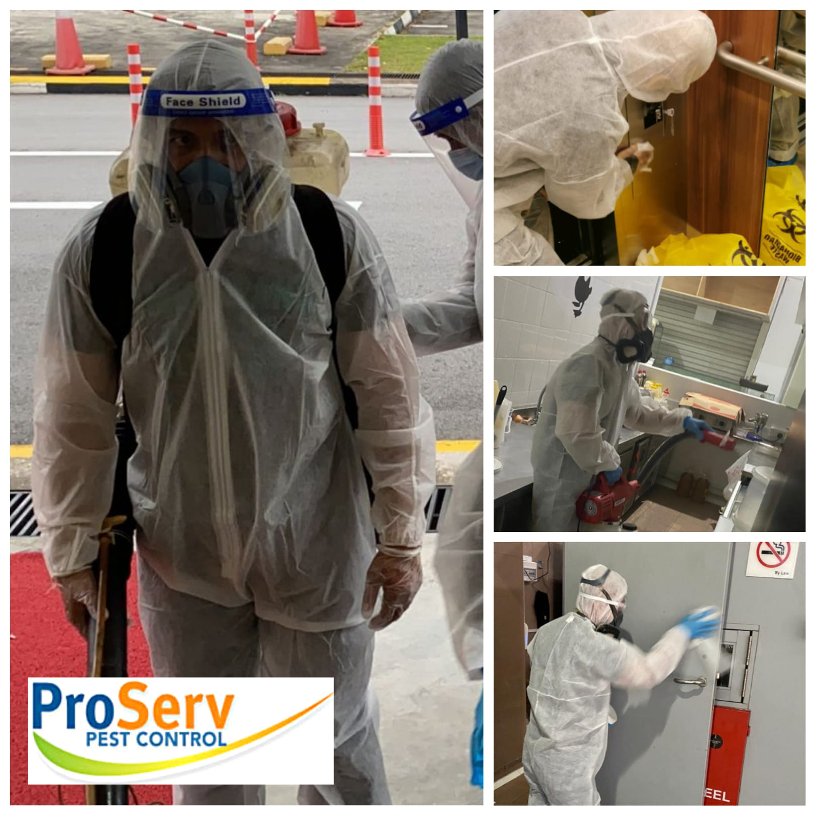 Effective Bed Bug Pest Control Solutions for a Peaceful Home