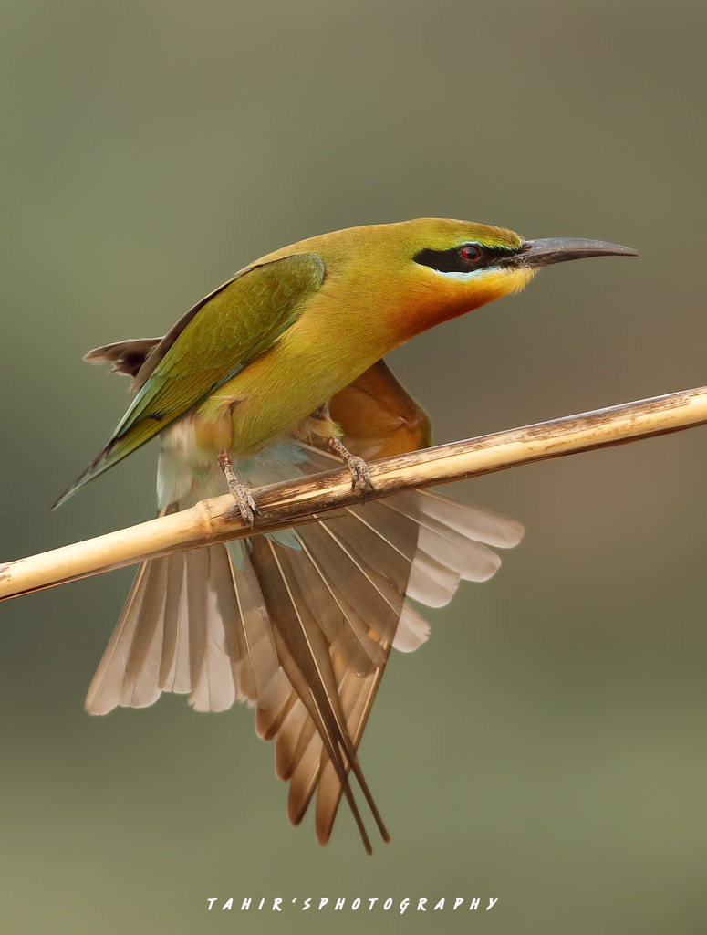 Colors of Nature by Nature images on 500px.com