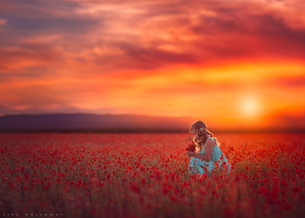 Land of Fire by Lisa Holloway on 500px.com