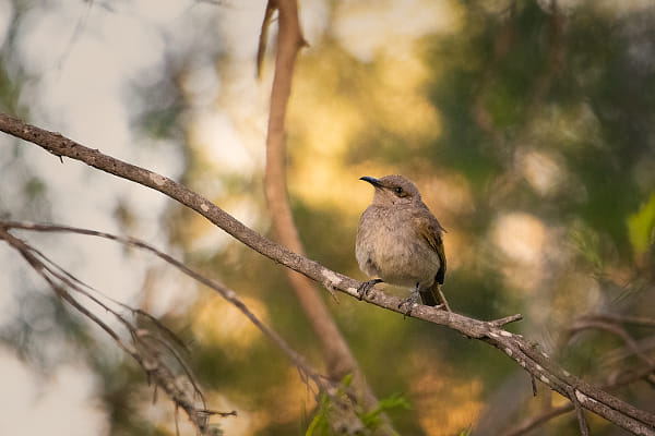 Kool-boort by Paul Amyes on 500px.com