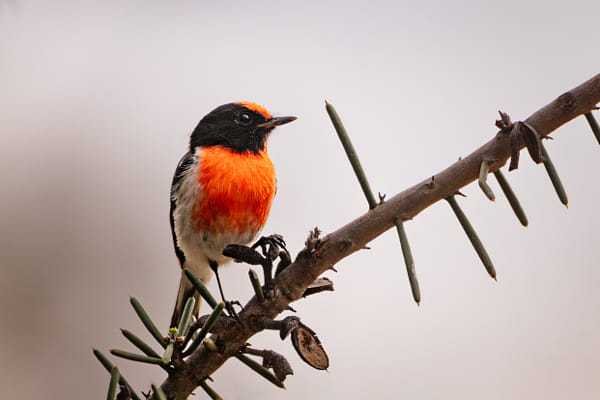 Koobanmokin by Paul Amyes on 500px.com