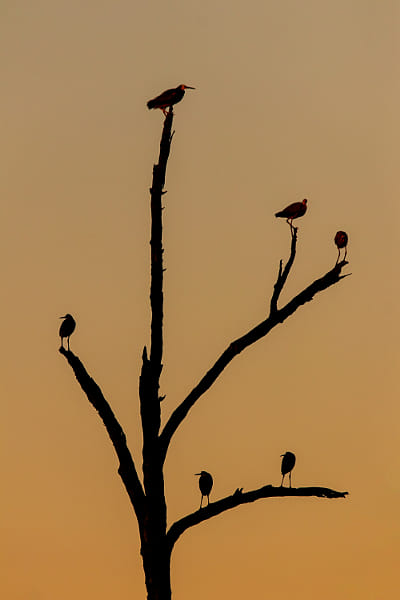 Wayan by Paul Amyes on 500px.com