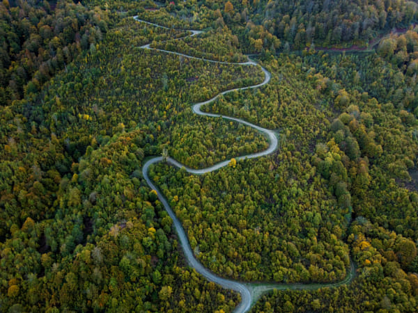 Aerial view of winding road amidst trees in forest by NECMETT?N SOBUTAY on 500px.com