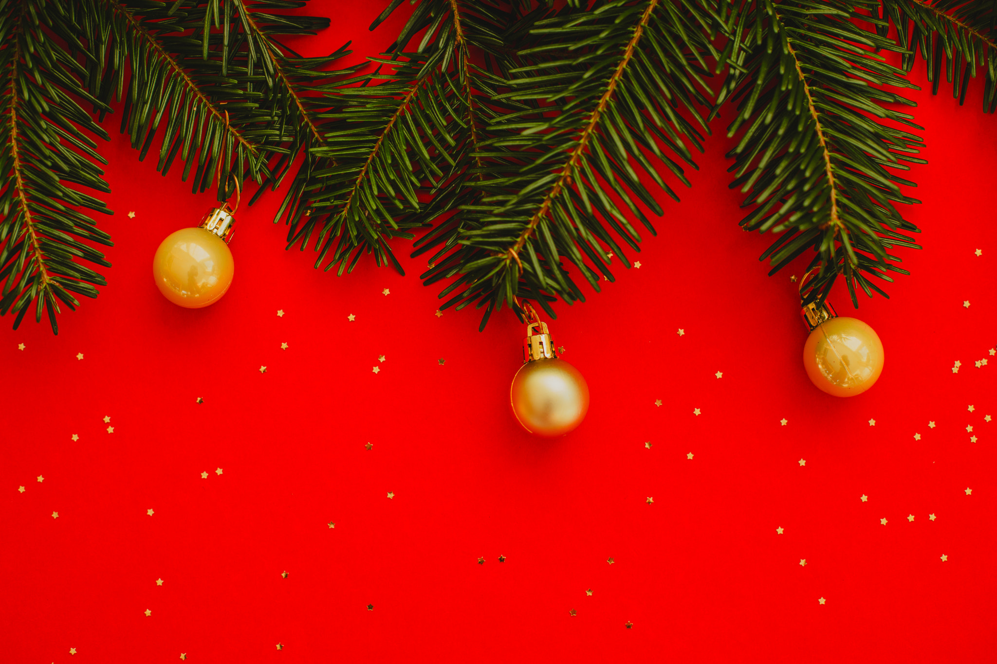 Christmas arrangement with fresh evergreen branches and golden pinecones on a vibrant red background