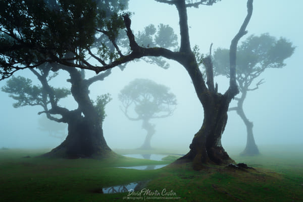 The Dancer by David Martín Castán on 500px.com