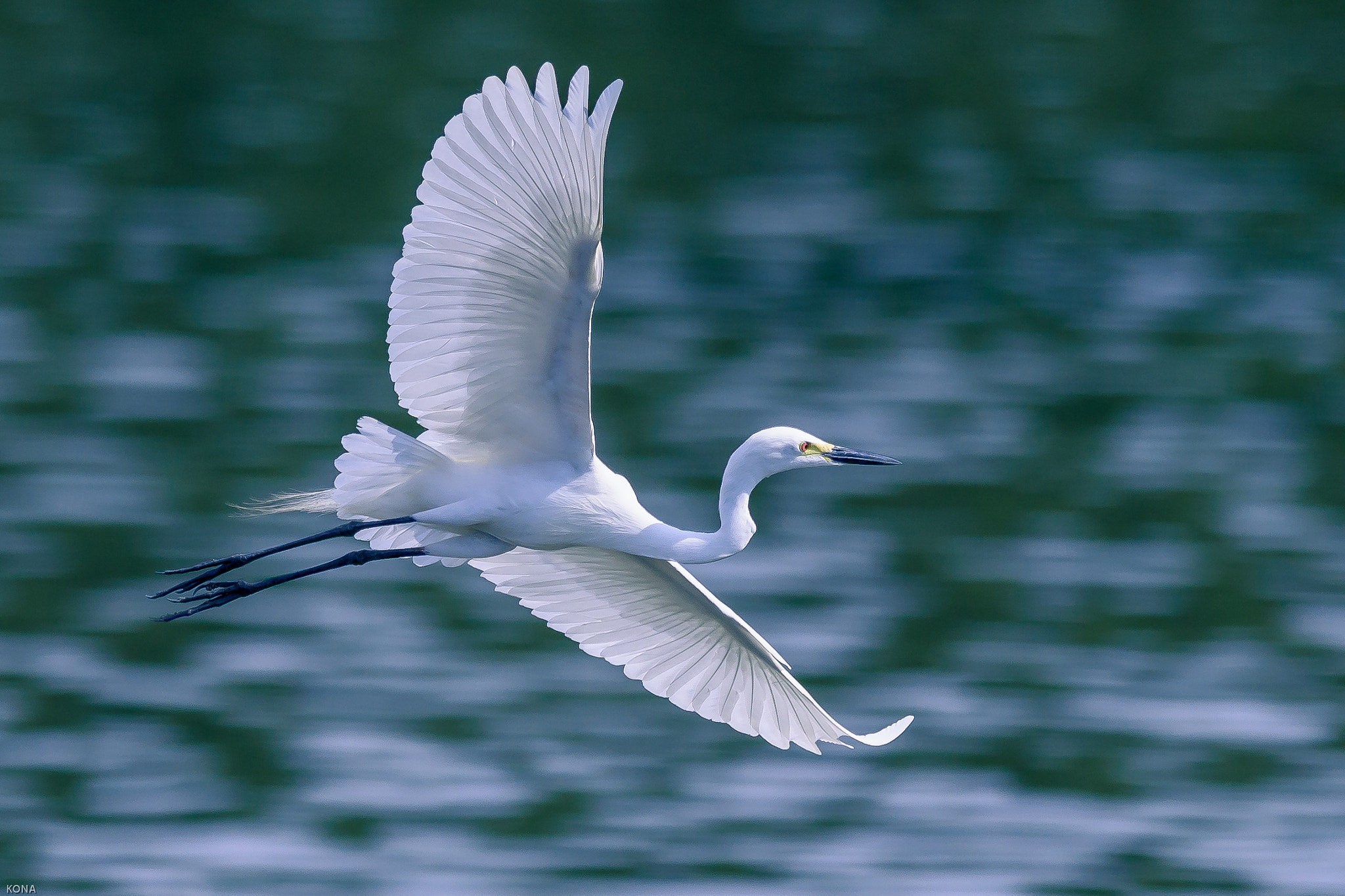 Nikon AF-S Nikkor 400mm F2.8G ED VR II sample photo. Sagi photography