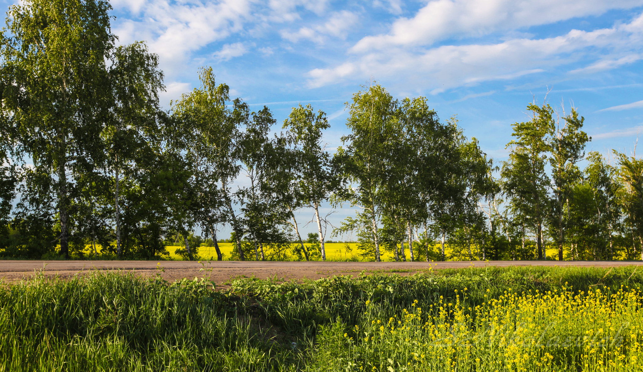 Фото родного края