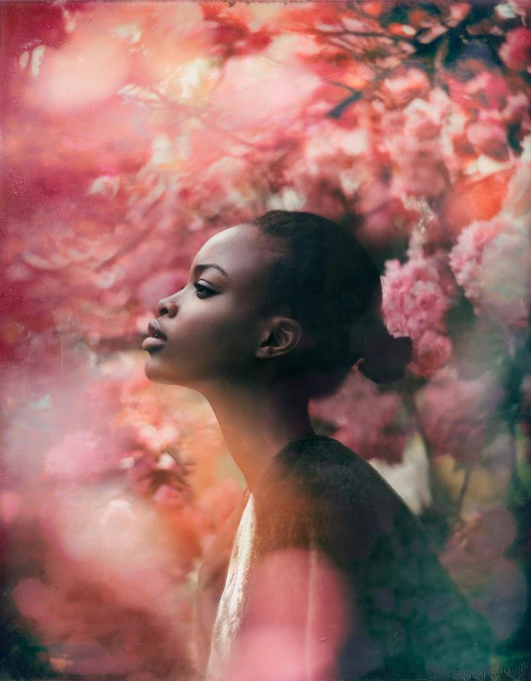 Bloom by Emily  Soto on 500px.com