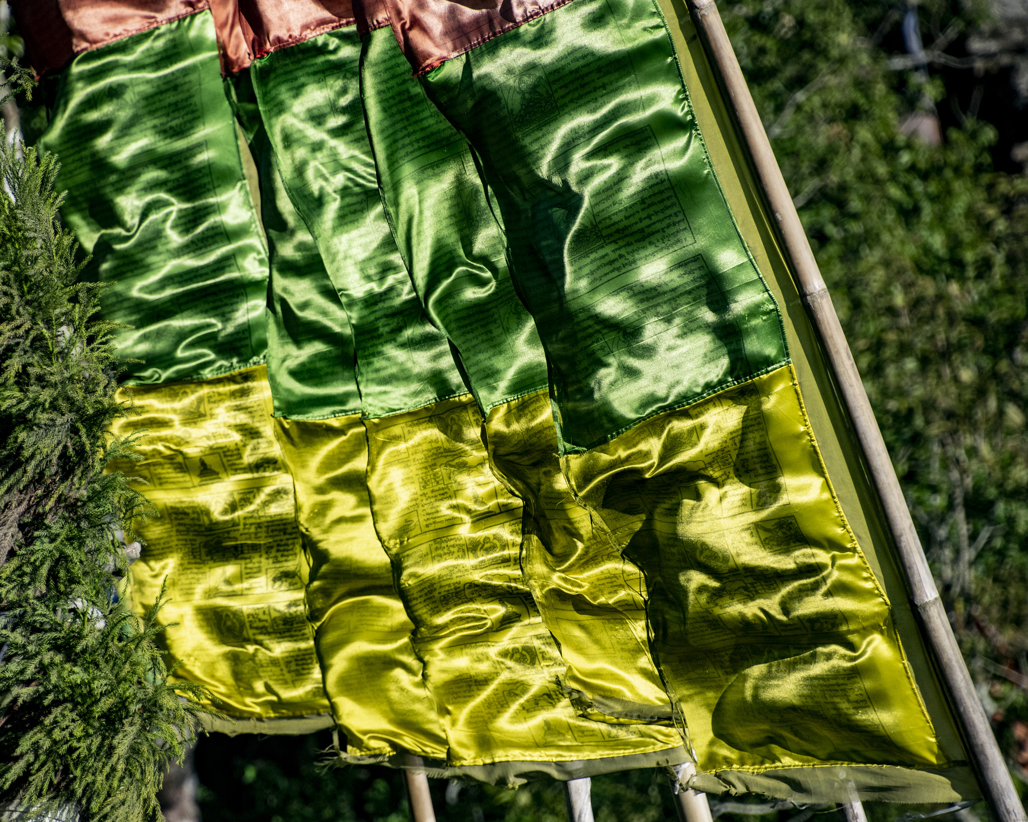 Prayers for all.....