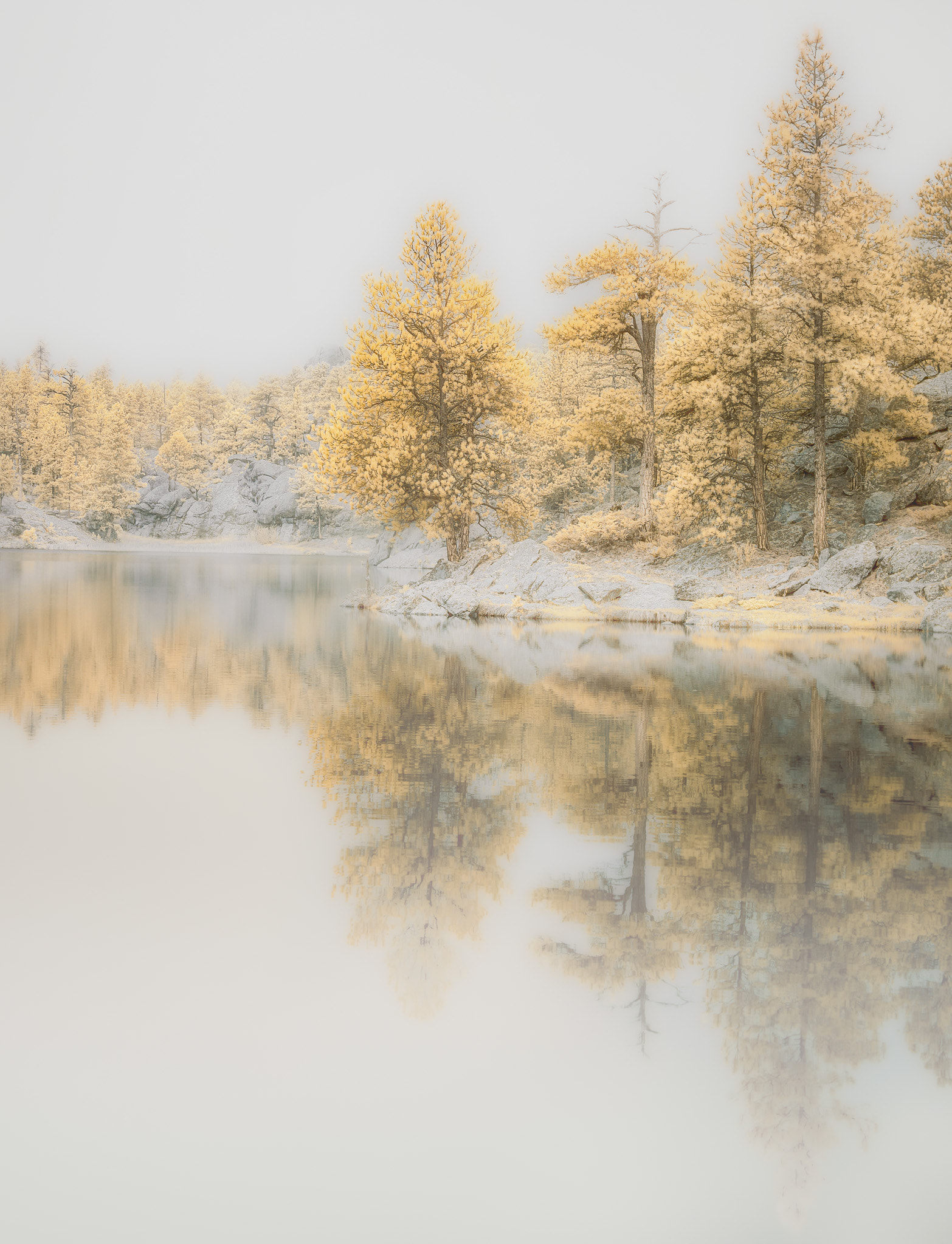 Lake Dreamscape: Misty Morning Serenity at Bismarck Lake