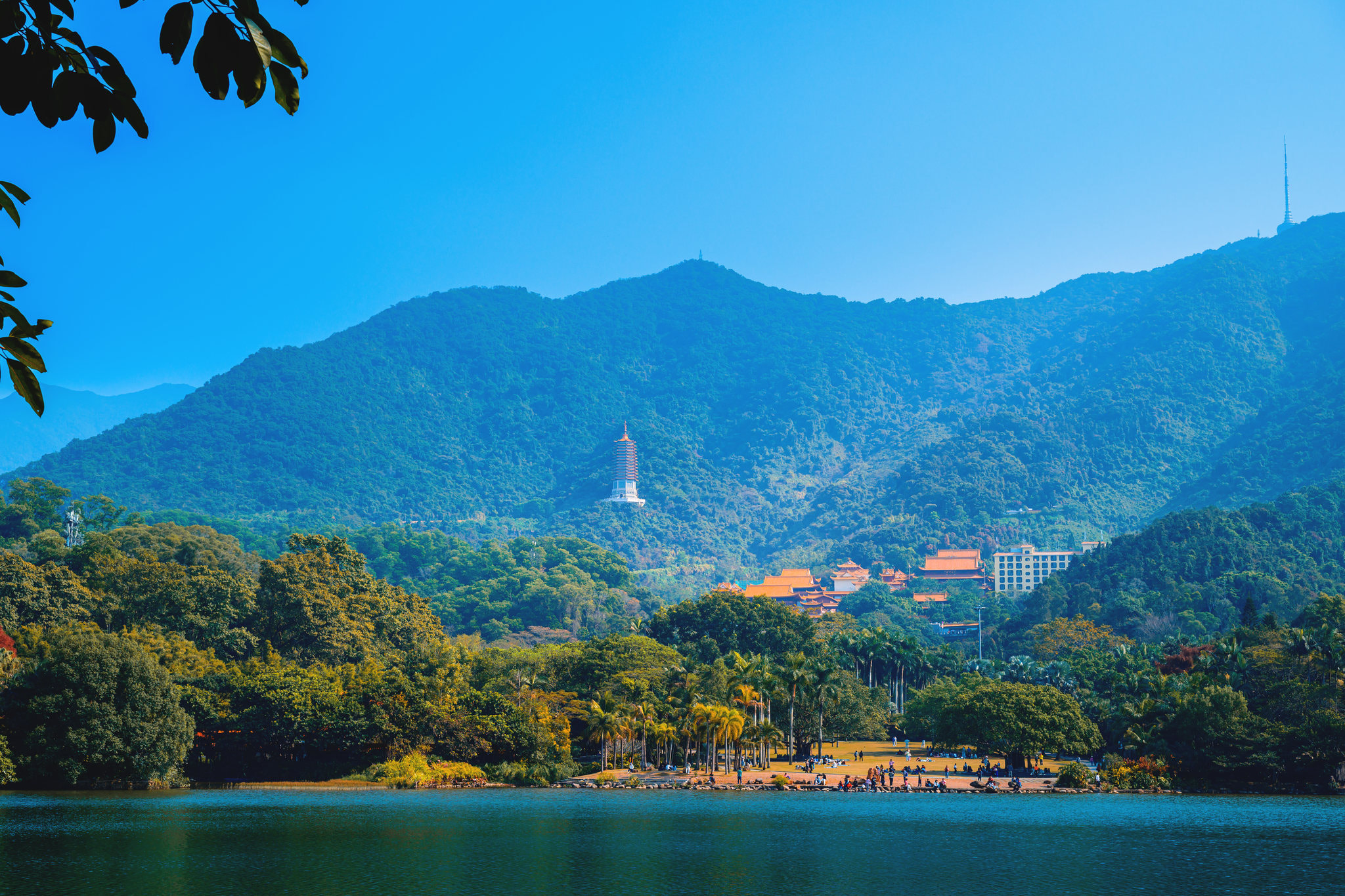 仙湖梧桐山弘法寺秋韵